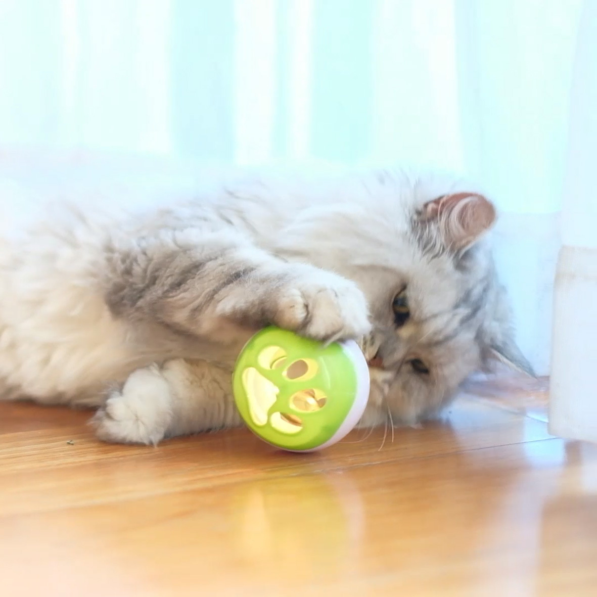 猫的玩具