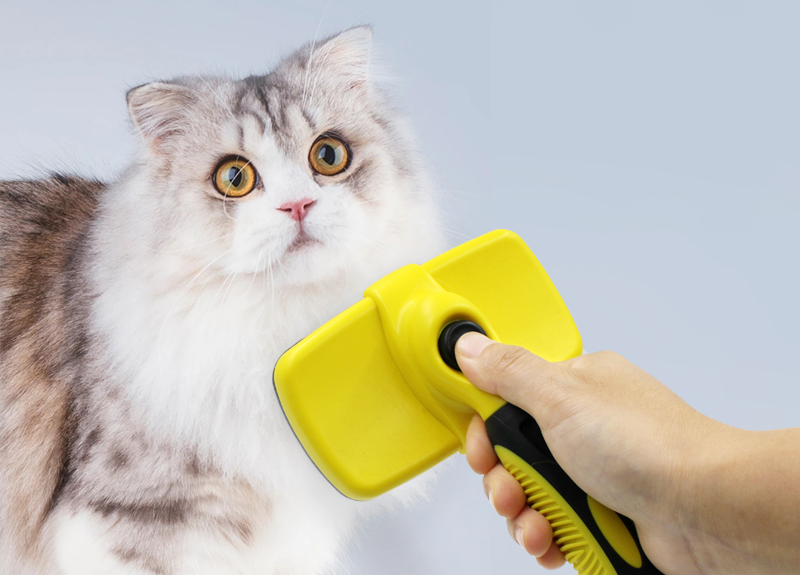 人类对猫的帮助
